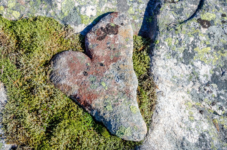 Romance shaped nature