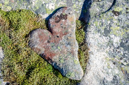 Romance shaped nature