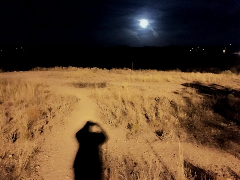 Under a Bright Moon
