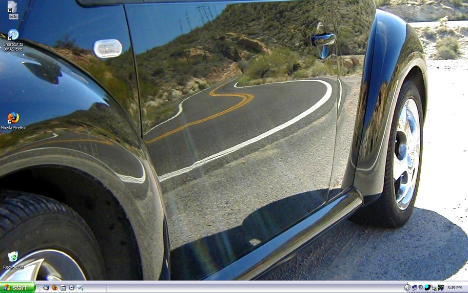 Bug On The Road XP