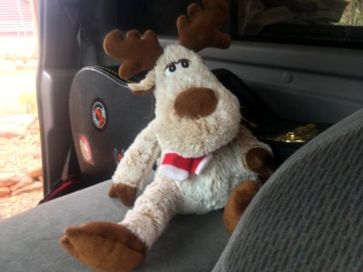 Mort is Packed and Ready to Go