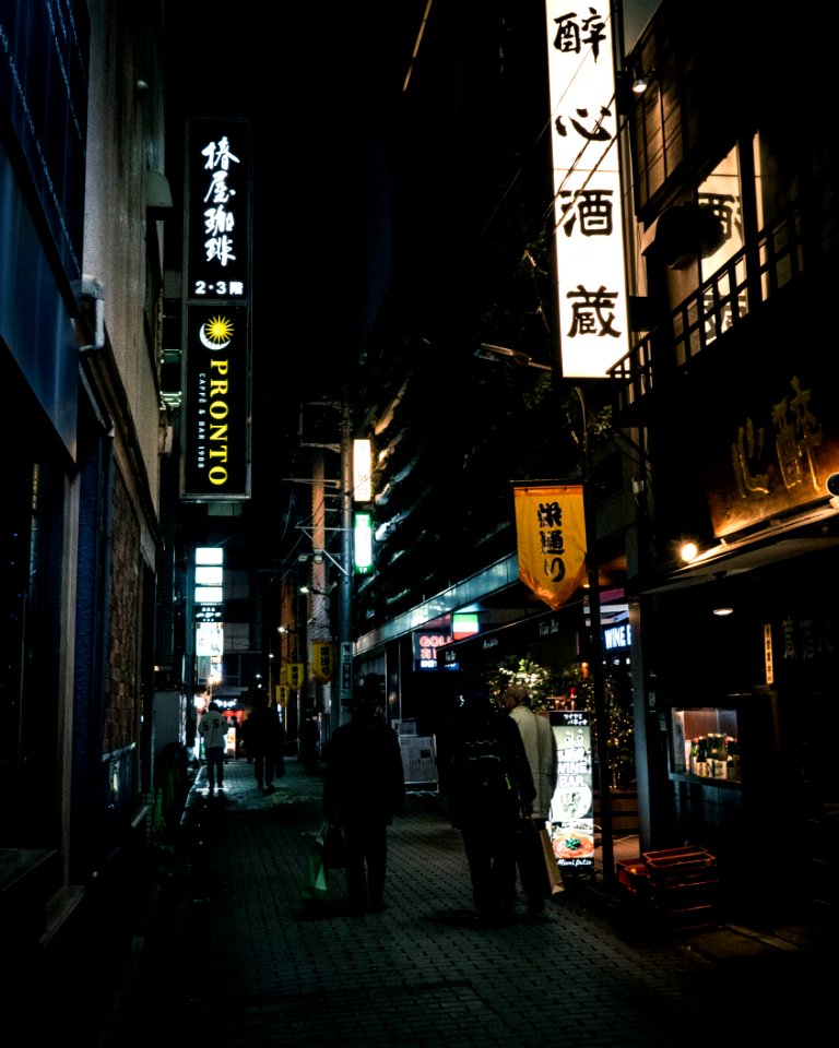 Shinbashi, Tokyo, 27th Dec