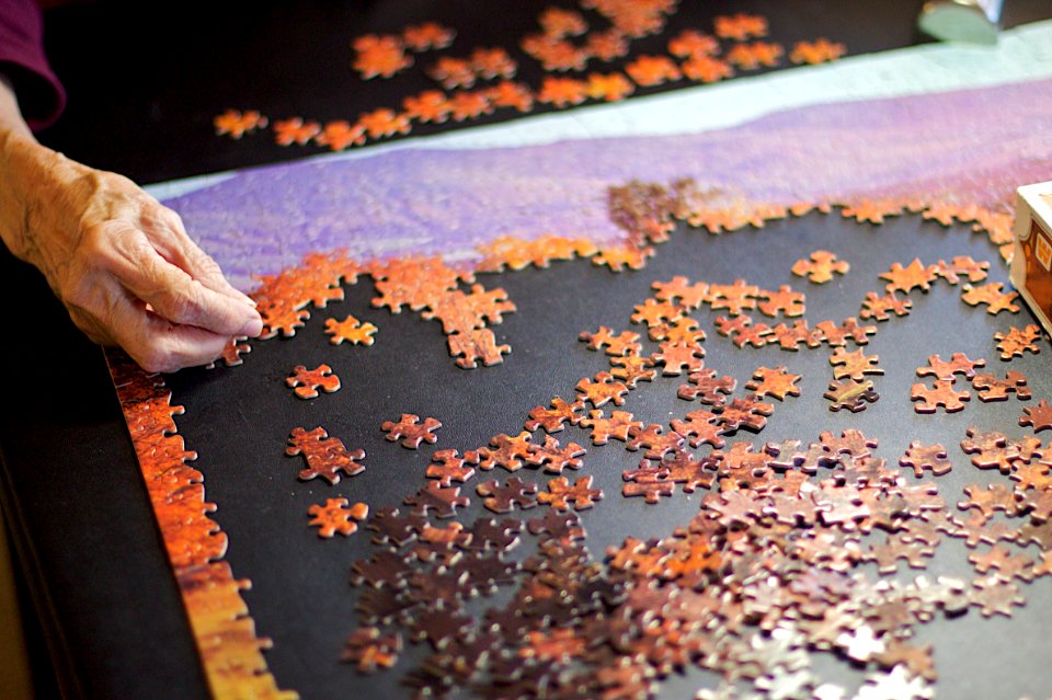 2009/365/330 Mom's Puzzle Hand