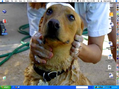 Desktop Split Personality