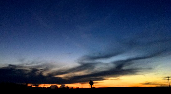 Lingering Lingering Light