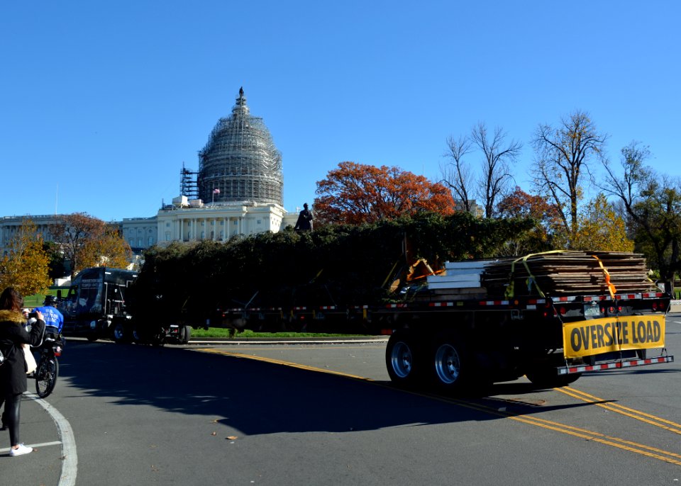 20151120-FS-DC-0003