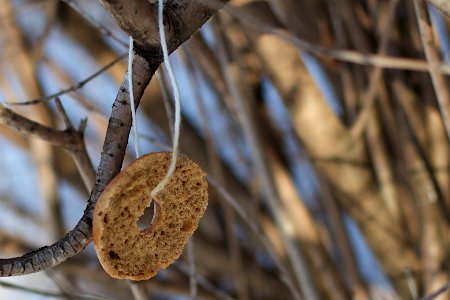 Not Falling for That Bagel on a String Trick