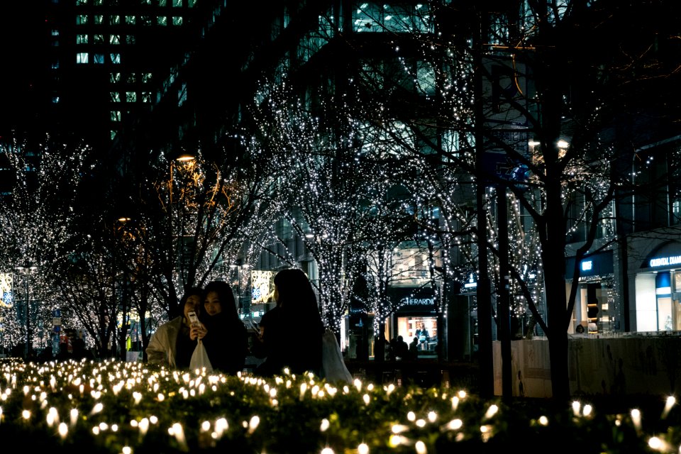 Ginza - Yurakucho, Tokyo, 17th Dec