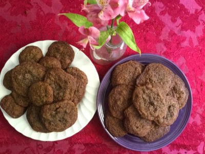 Chocolate cookies photo
