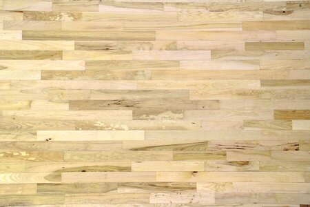 Hardwood floor wood