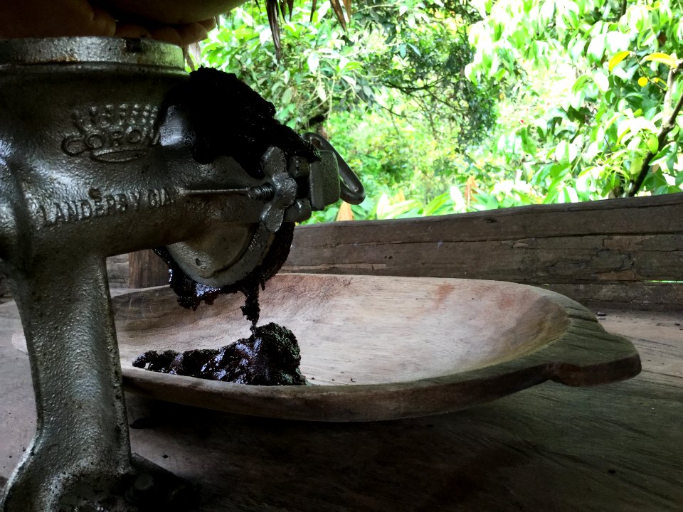 organic chocolate
