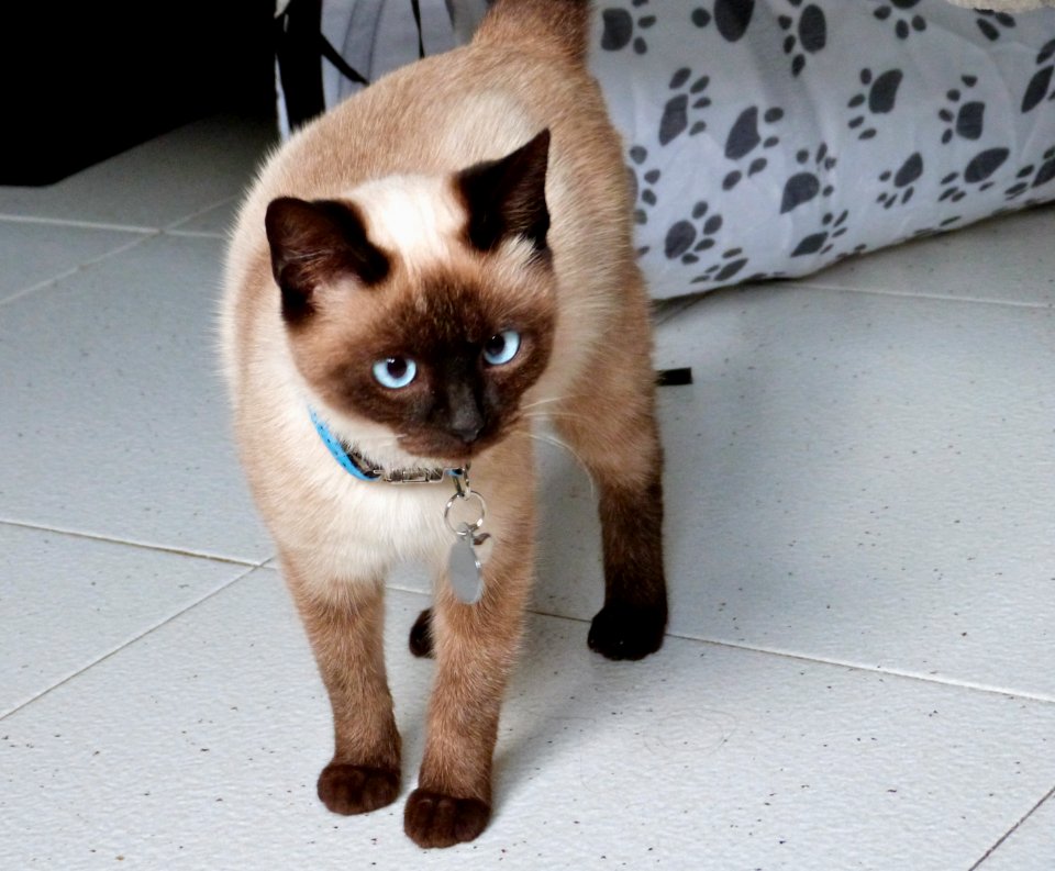 Schrödinger is home!