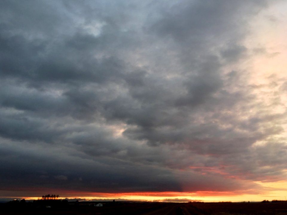 Under that Willa Cather Sky