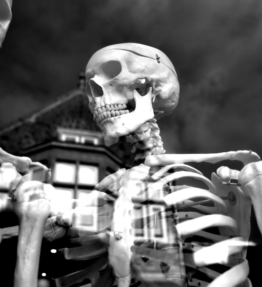 The Skeleton