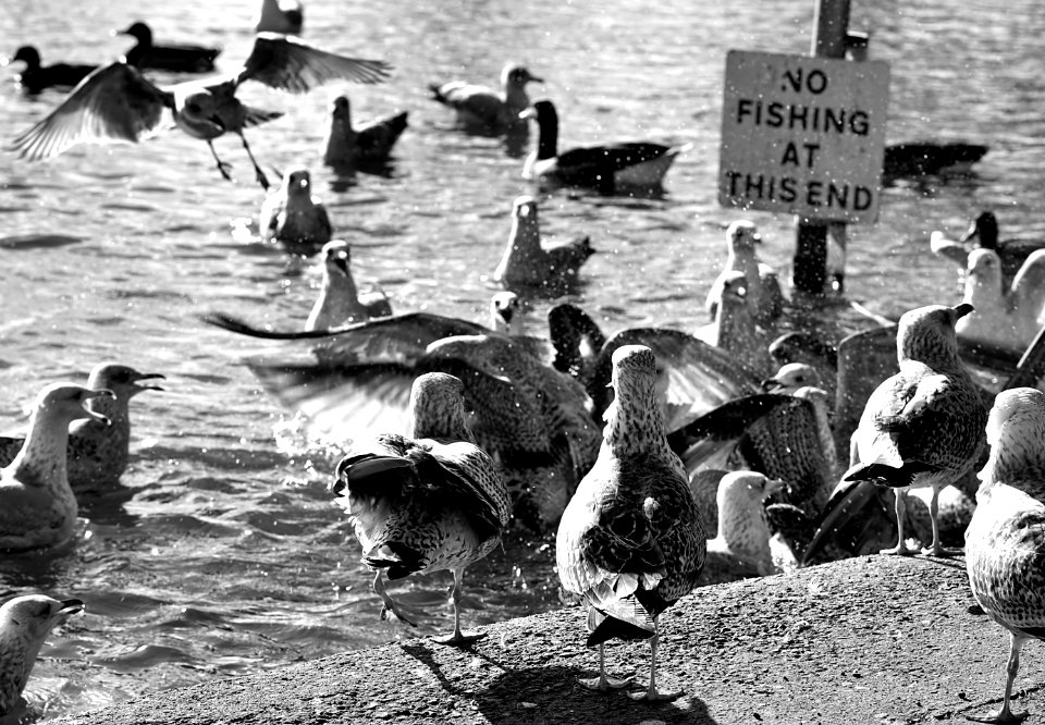 Feeding time