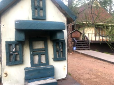 The Birdhouse With a Birdhouse