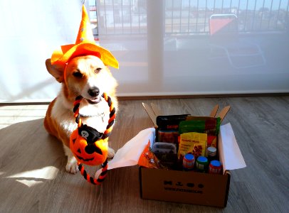 Halloween Sepcial Patasbox