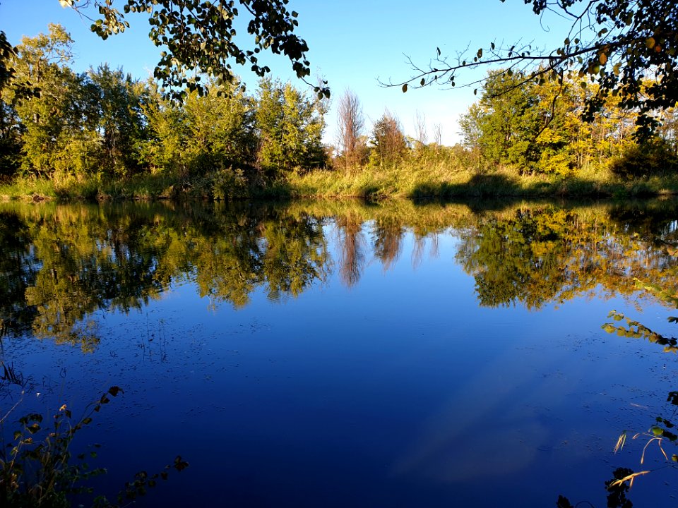 #30díasy30fotos Día 22 - Árboles (paisaje)