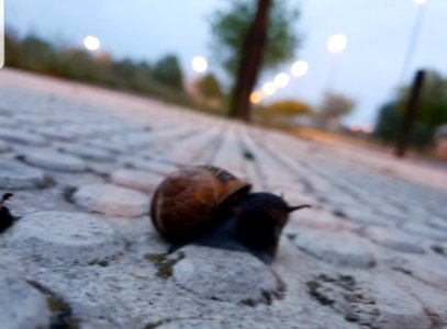 #30díasy30fotos Día 30 - En movimiento (Línea)