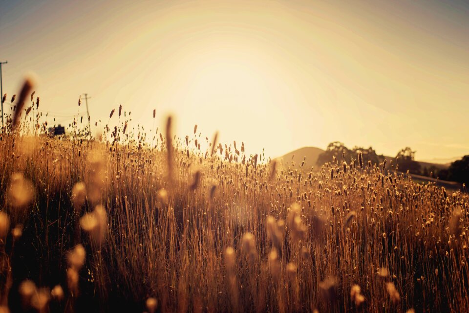 Sunset nature sky