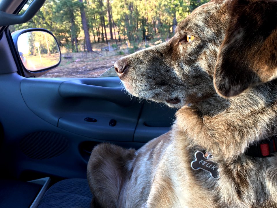 Keep Your Eyes on the Road...