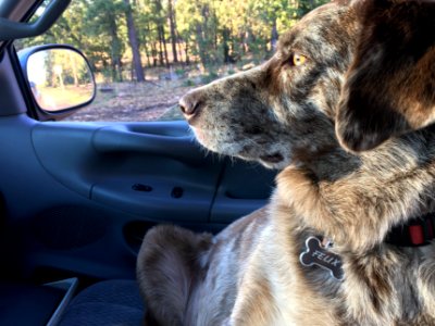 Keep Your Eyes on the Road...