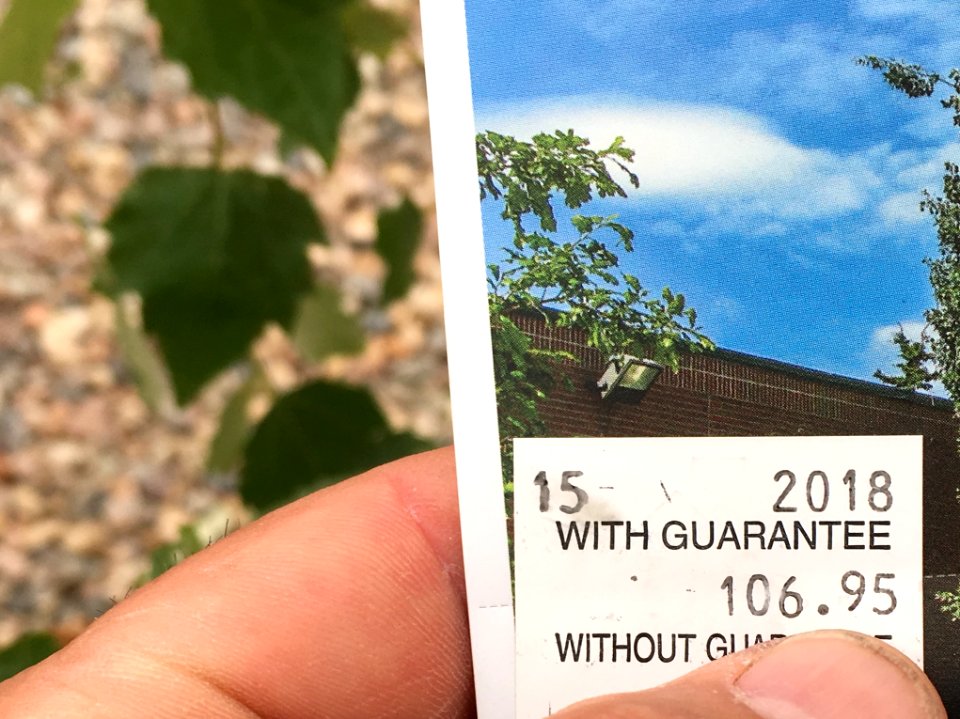 DS106 With Guarantee