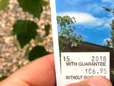 DS106 With Guarantee