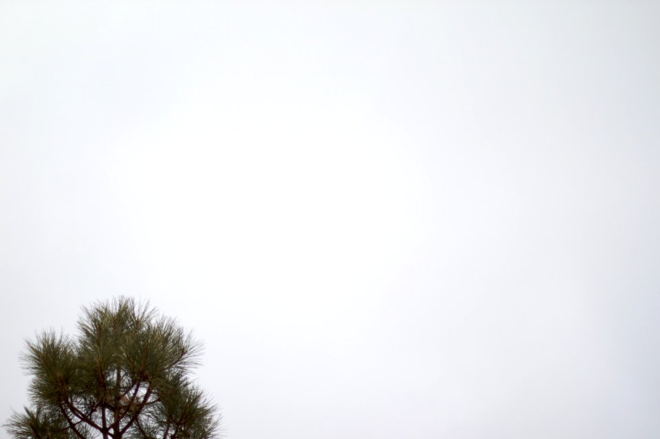 Not Always Blue Skies