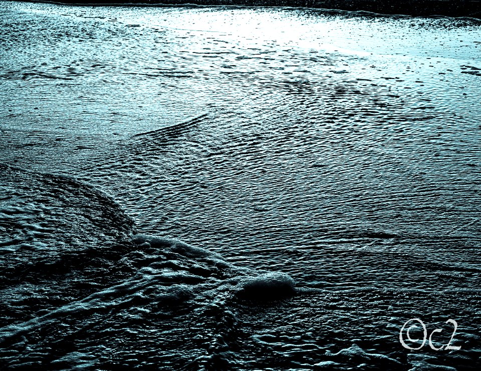 cyanotype surf