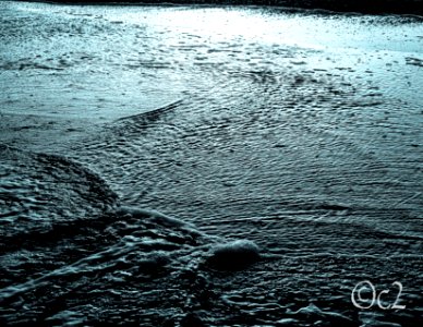 cyanotype surf
