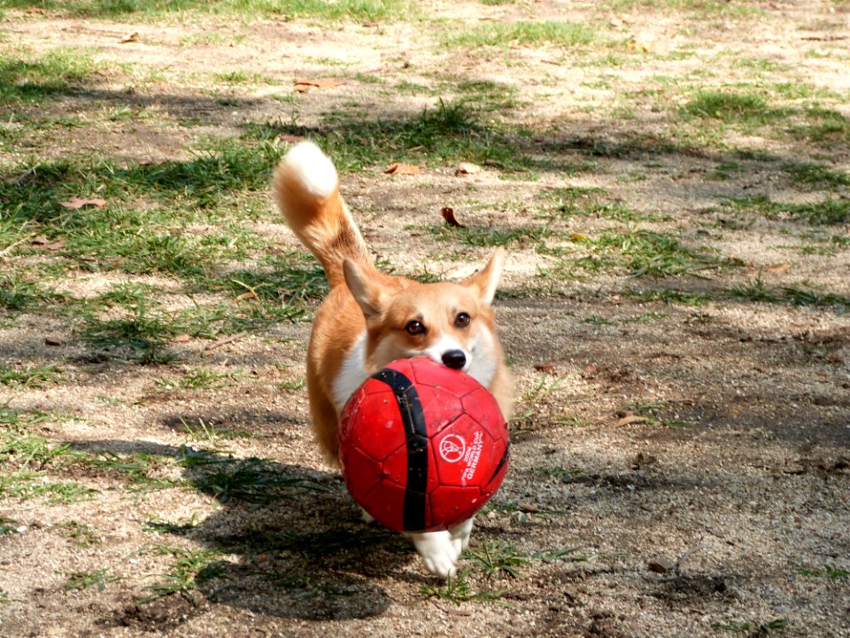 Ball o'clock
