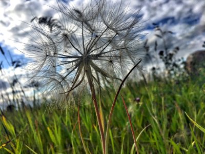 Cast Your Nets Skyward