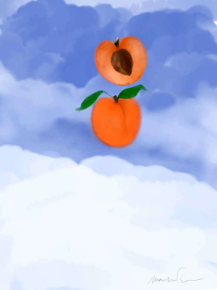 amo