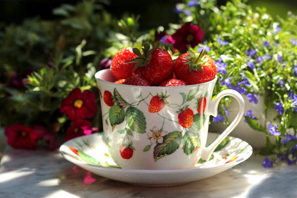Delicious summer garden