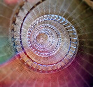 Spiral snail metal photo