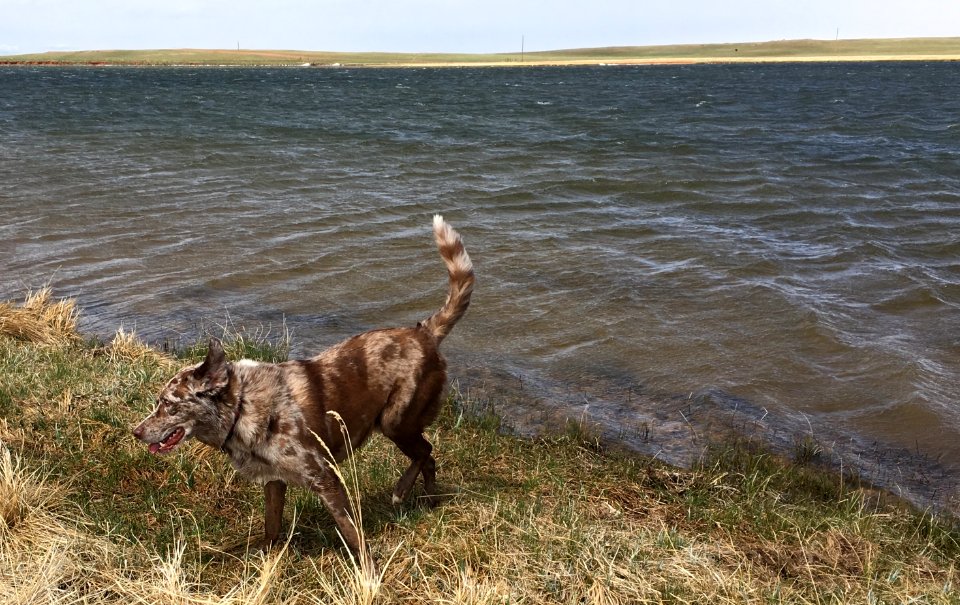 Cold Lakes Must Be Swum