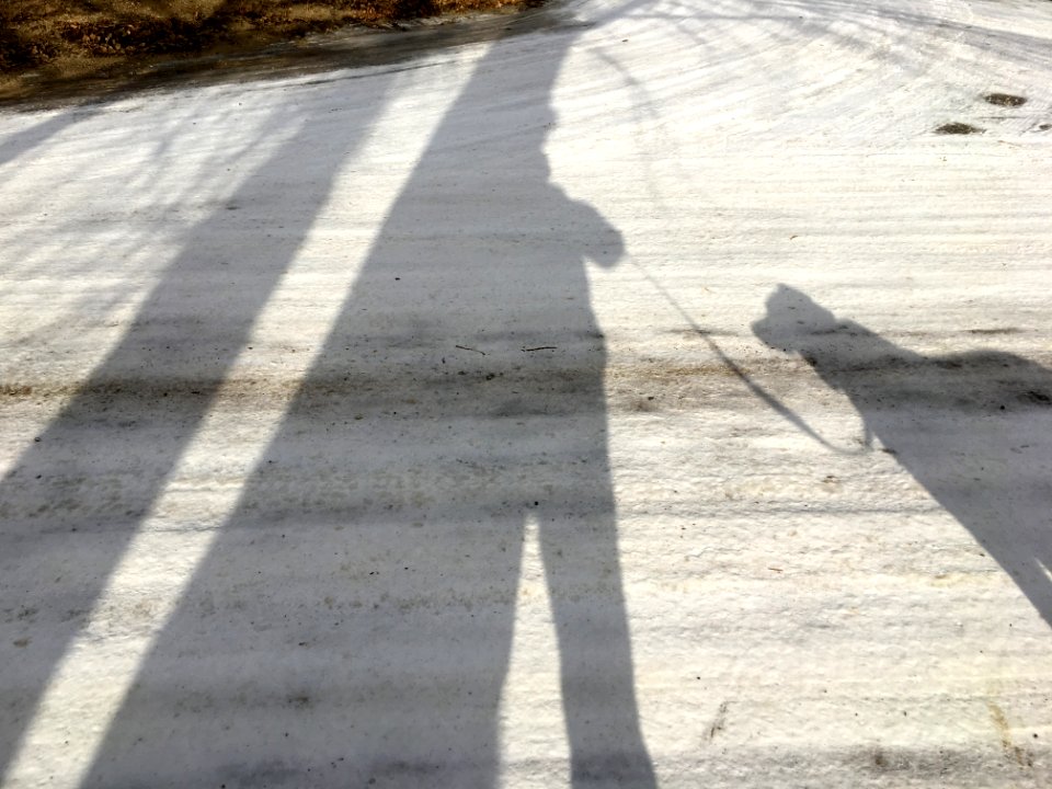 Emerging Shadow Man and His Dog
