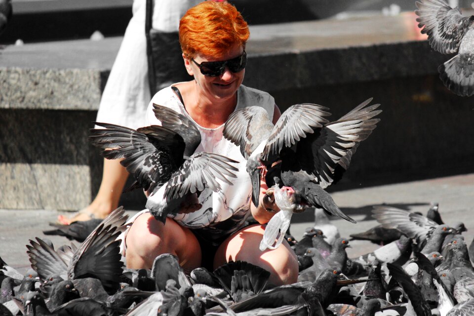 Red hair sunglasses birds
