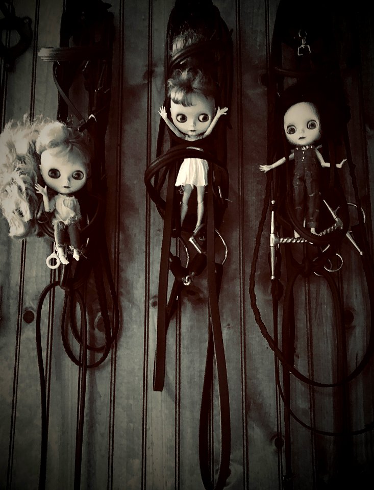 Bridle Party Blythe