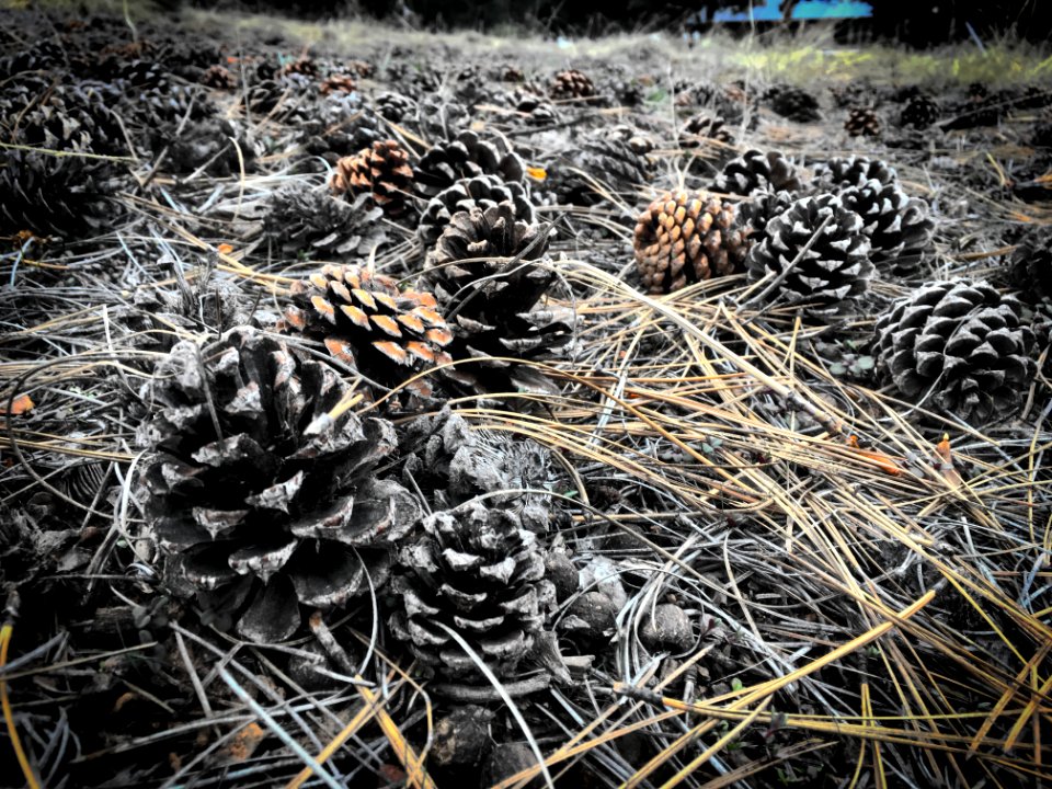 2017/365/58 Infinite Cones