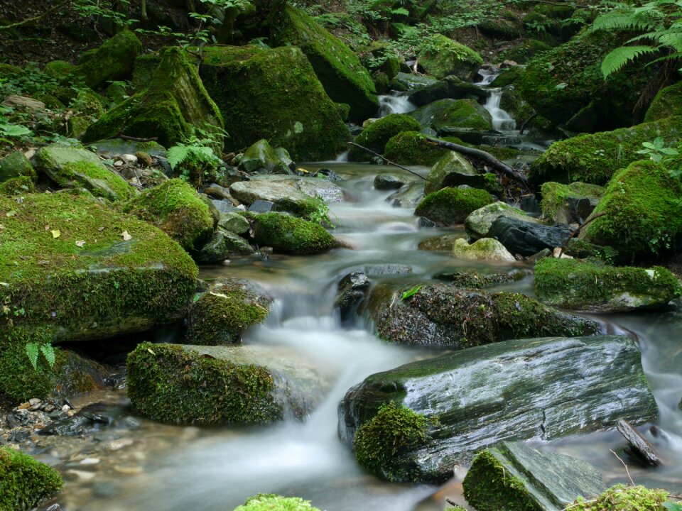 Stones rocks nature photo