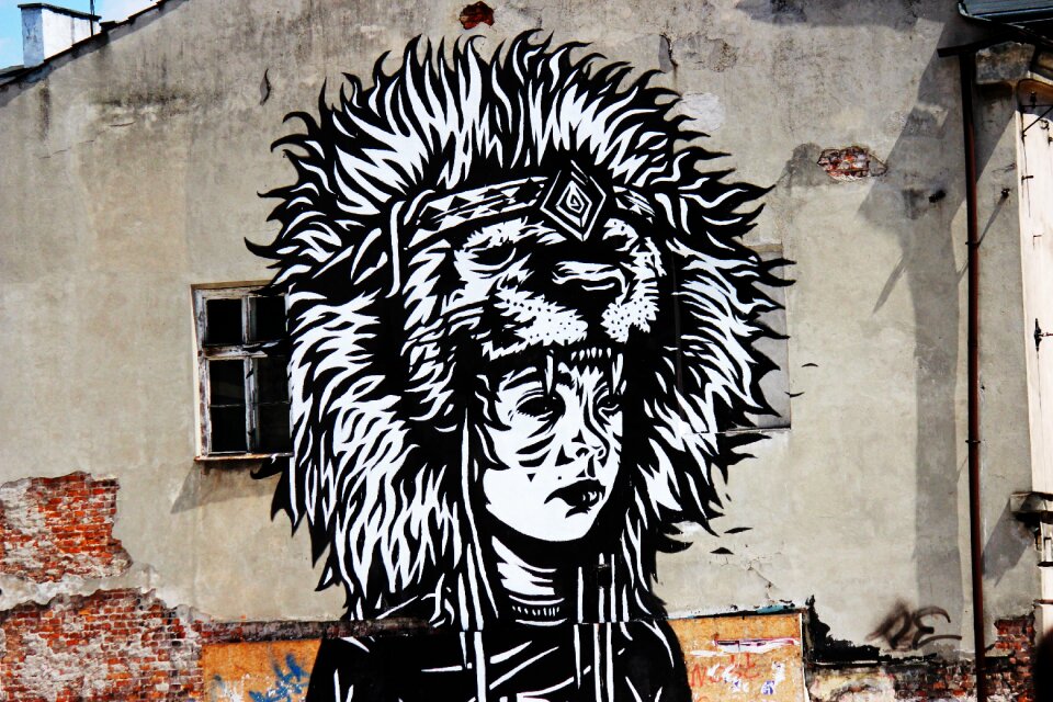 Wall murals drawing