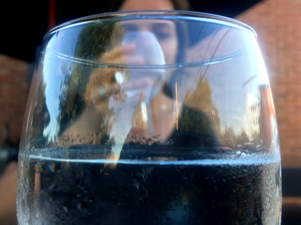Beauty Through the Glass