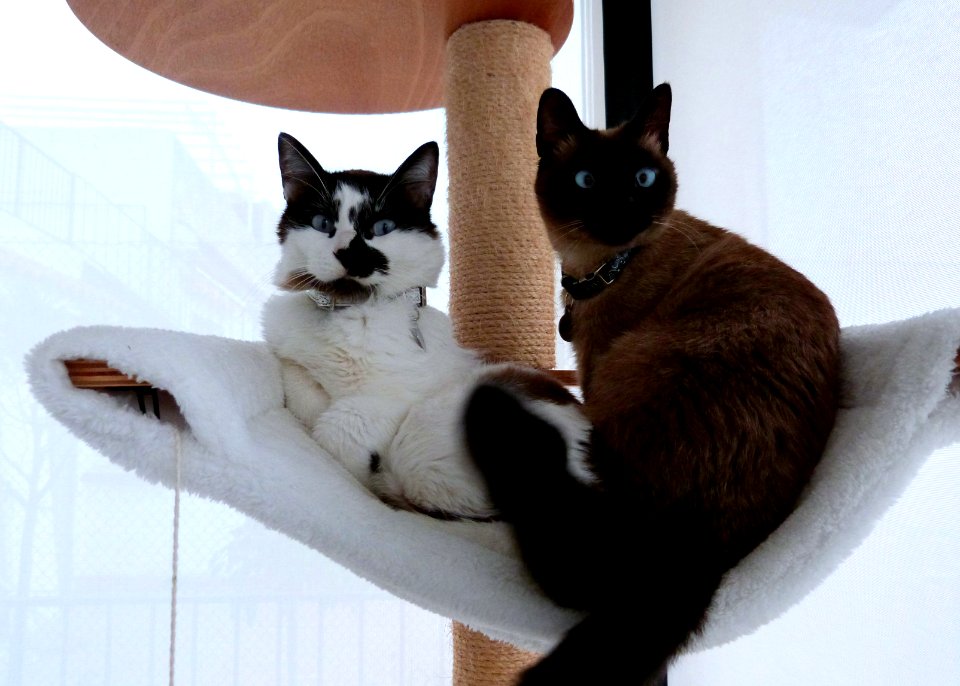 Caught snuggling