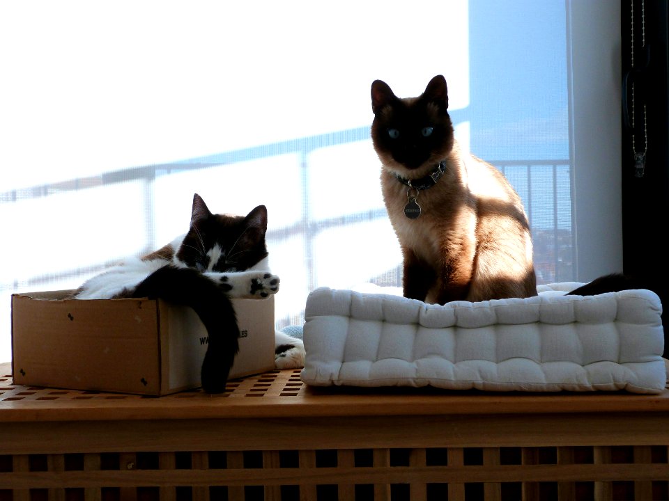Nap time photoshoot