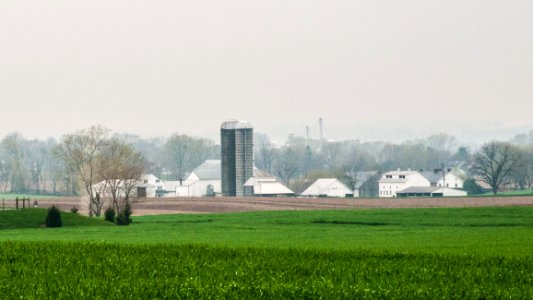 20110419-RD-LSC-0898