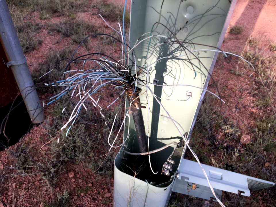 The Network is Down