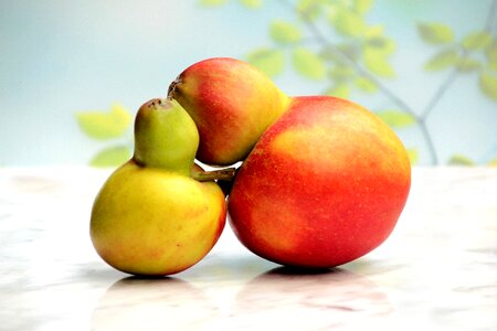 Gene defect freak of nature still life