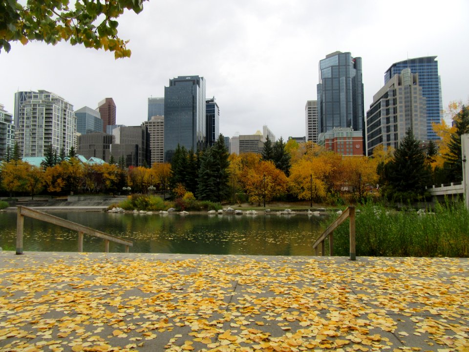 Calgary Skyline from Prince's Island Park